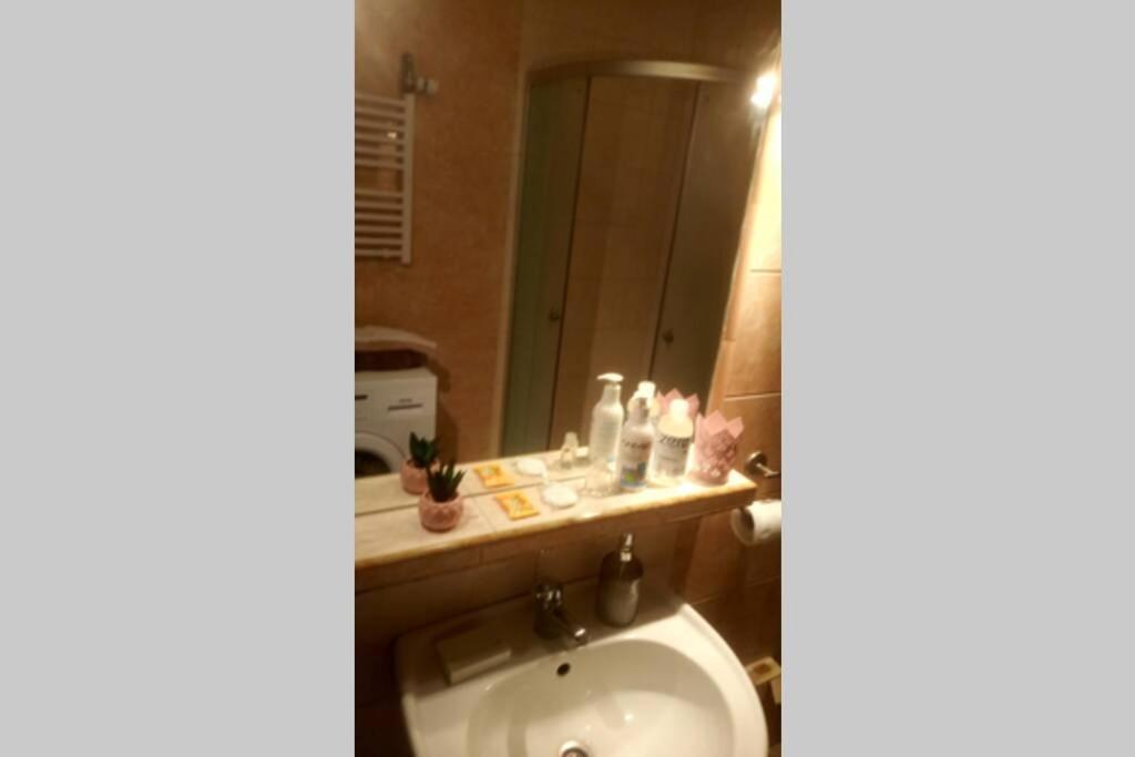 Apartamenty Narutowicza Tarnów Dış mekan fotoğraf