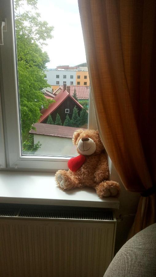 Apartamenty Narutowicza Tarnów Dış mekan fotoğraf